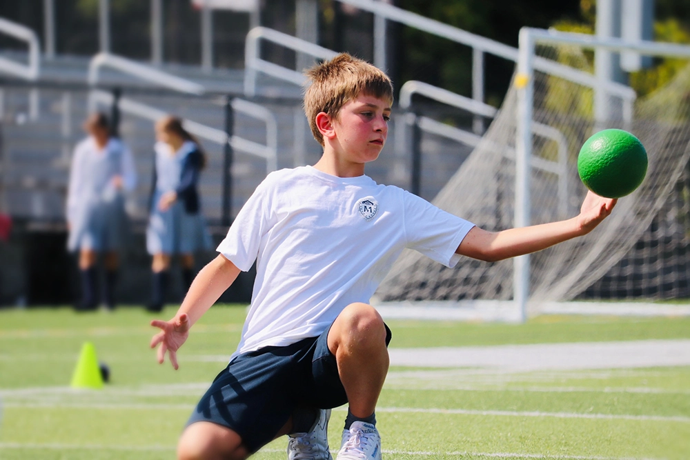 Stella Maries Stamford CT Near you