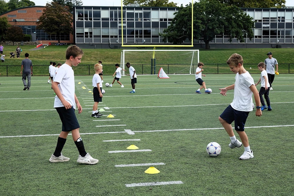 Stella Maries Stamford CT Near you